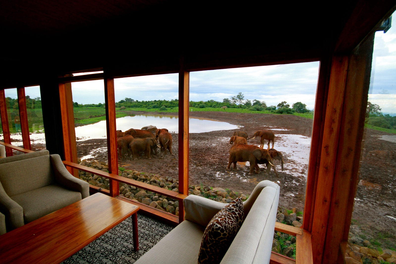 The Ark Kenya Wildlife Spotting From Your Balcony In The Aberdare